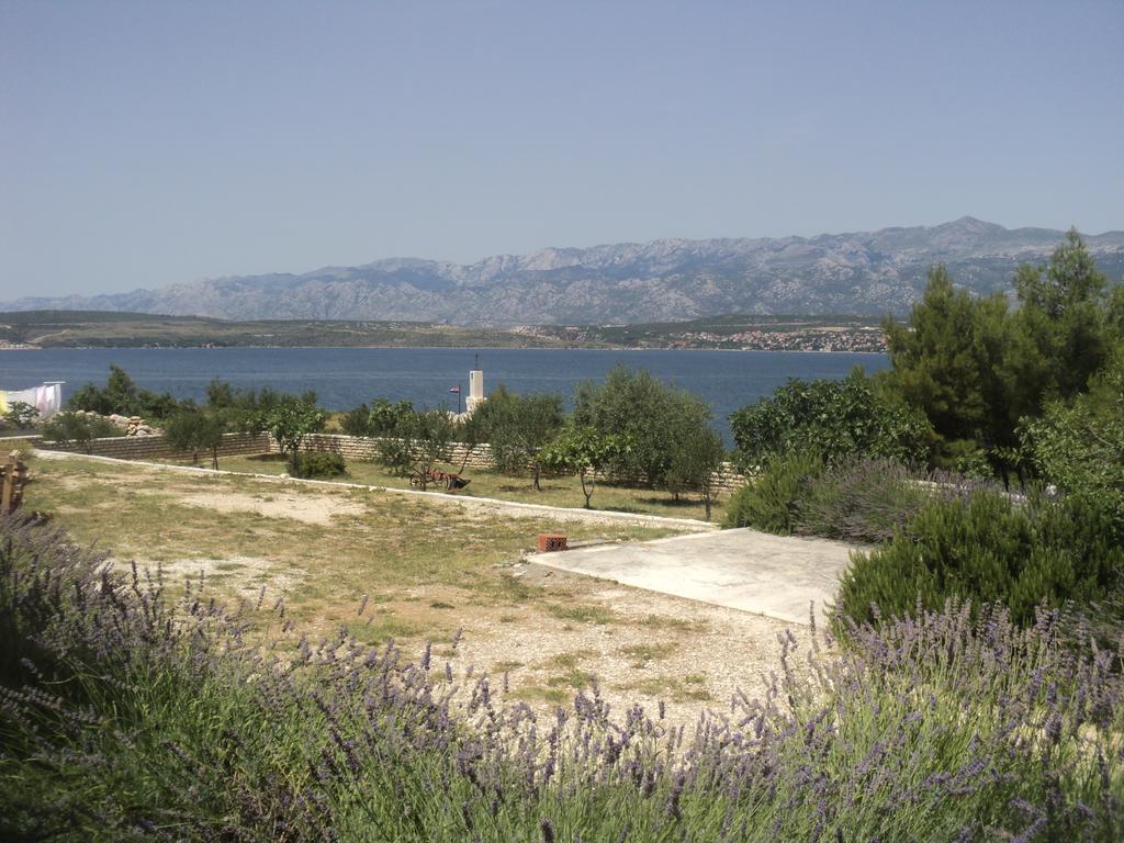 Apartments Mikecin Novigrad  Exterior foto